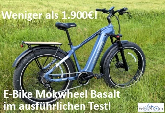 e-bike-fatbike-mokwheel-basalt-rechte-336x230