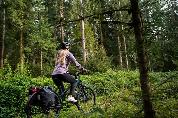 eine-frau-faehrt-e-bike-im-wald