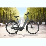 Gazelle Arroyo_C8+_Elite